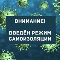 Алексей Текслер ввел режим обязательной самоизоляции